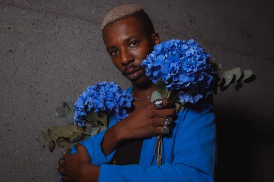 In Hydrangeas